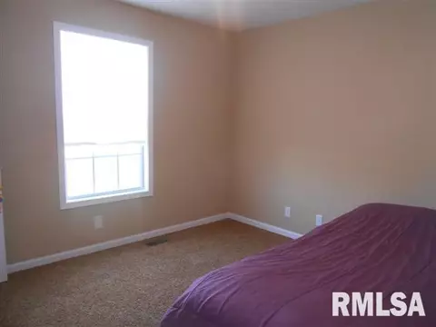 11418 N Casey Ct, Dunlap, IL 61525 photo 19