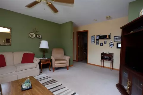 115 9th St, Lacon, IL 61540 photo 14