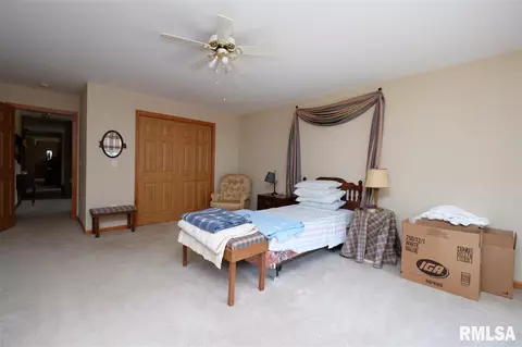 115 9th St, Lacon, IL 61540 photo 18