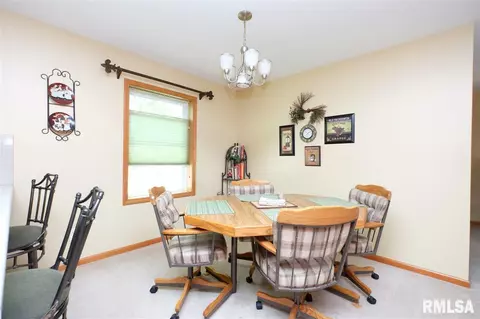 115 9th St, Lacon, IL 61540 photo 7