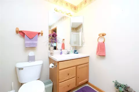 115 9th St, Lacon, IL 61540 photo 20
