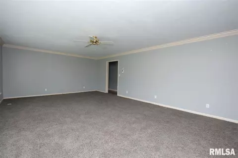 201 N 3rd St, Roanoke, IL 61561 photo 3