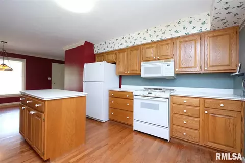 201 N 3rd St, Roanoke, IL 61561 photo 10