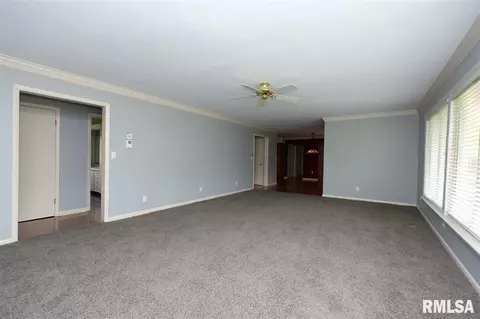 201 N 3rd St, Roanoke, IL 61561 photo 4