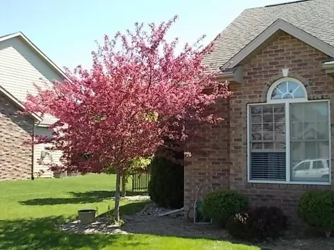 720 Stoneway Dr, Morton, IL 61550 photo 3