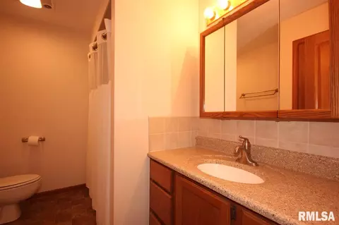 309 Arbor Vitae, Germantown Hills, IL 61548 photo 34