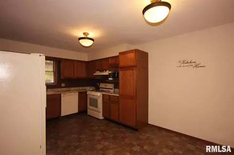 309 Arbor Vitae, Germantown Hills, IL 61548 photo 14