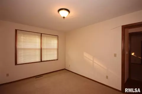 309 Arbor Vitae, Germantown Hills, IL 61548 photo 31