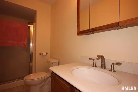 309 Arbor Vitae, Germantown Hills, IL 61548 photo 28