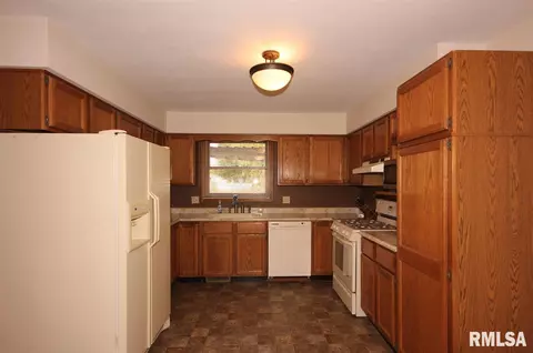 309 Arbor Vitae, Germantown Hills, IL 61548 photo 12