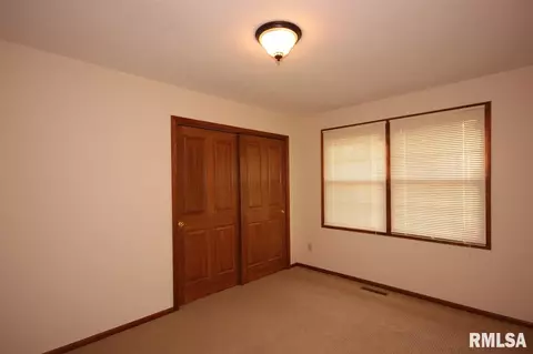 309 Arbor Vitae, Germantown Hills, IL 61548 photo 30