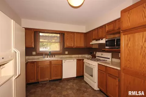 309 Arbor Vitae, Germantown Hills, IL 61548 photo 13
