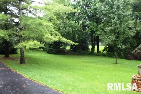 7 Maple Dr, Goodfield, IL 61742 photo 29