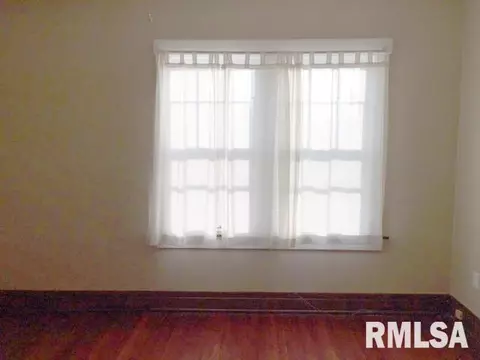 62 W Pne, Canton, IL 61520 photo 16