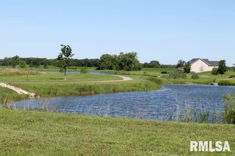 11216 N Greenview Ln, Dunlap, IL 61525 photo 6