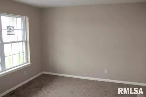 11216 N Greenview Ln, Dunlap, IL 61525 photo 13