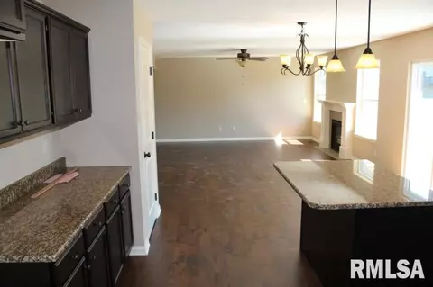 11216 N Greenview Ln, Dunlap, IL 61525 photo 12