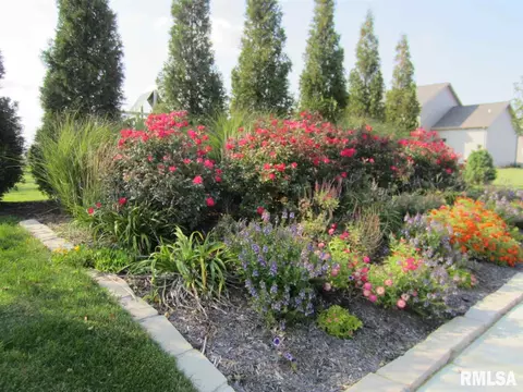 11216 N Greenview Ln, Dunlap, IL 61525 photo 33