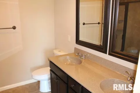 11216 N Greenview Ln, Dunlap, IL 61525 photo 25