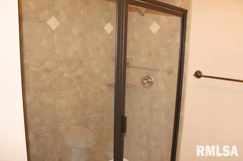 11216 N Greenview Ln, Dunlap, IL 61525 photo 26