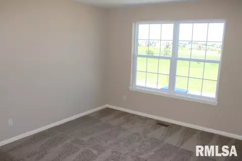 11216 N Greenview Ln, Dunlap, IL 61525 photo 27
