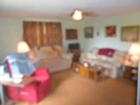 8803 W Maple Ridge Rd, Mapleton, IL 61547 photo 8