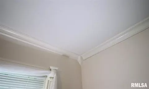 1344 N Forrest, Germantown Hills, IL 61548 photo 33