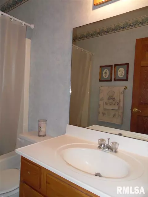 4405 S Newcastle Ct, Mapleton, IL 61547 photo 17