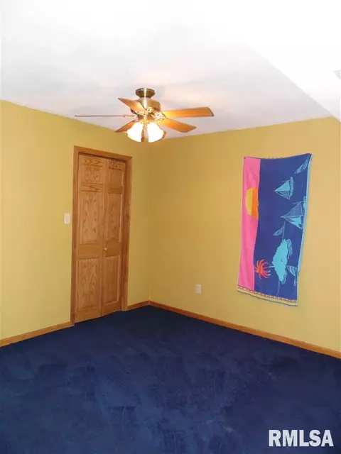 4405 S Newcastle Ct, Mapleton, IL 61547 photo 21