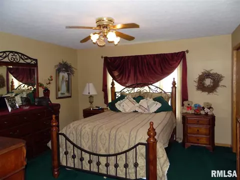 4405 S Newcastle Ct, Mapleton, IL 61547 photo 12
