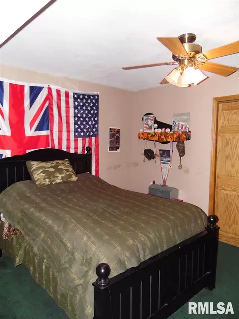 4405 S Newcastle Ct, Mapleton, IL 61547 photo 20