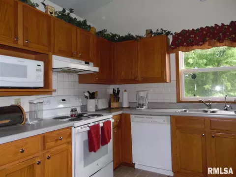 4405 S Newcastle Ct, Mapleton, IL 61547 photo 8