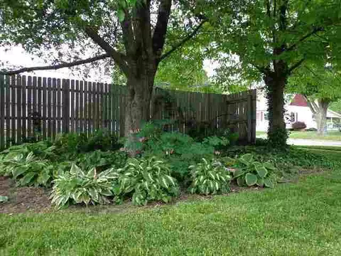 524 E Calhoun St, Macomb, IL 61455 photo 21