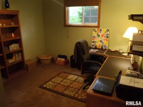4406 S Misty Isle Pt, Mapleton, IL 61547 photo 31