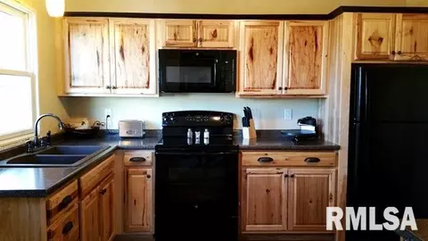 1230 E Chestnut St, Canton, IL 61520 photo 6
