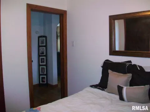 306 N 3rd, Canton, IL 61520 photo 13