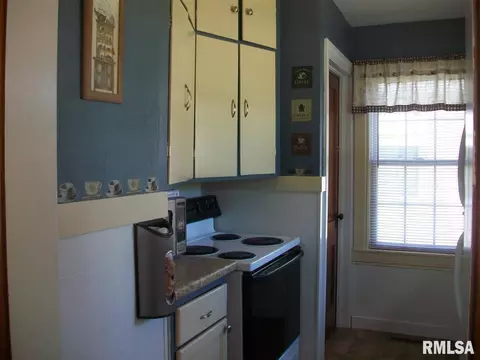 306 N 3rd, Canton, IL 61520 photo 19