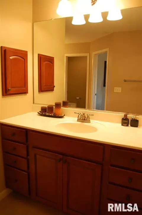 2015 W Liams Way, Dunlap, IL 61525 photo 17
