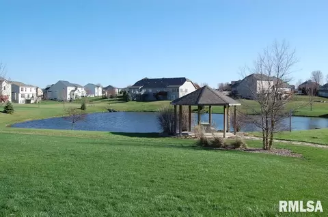 2015 W Liams Way, Dunlap, IL 61525 photo 32