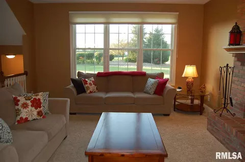 2015 W Liams Way, Dunlap, IL 61525 photo 9