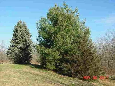 400 E Grove St, Table Grove, IL 61482 photo 22