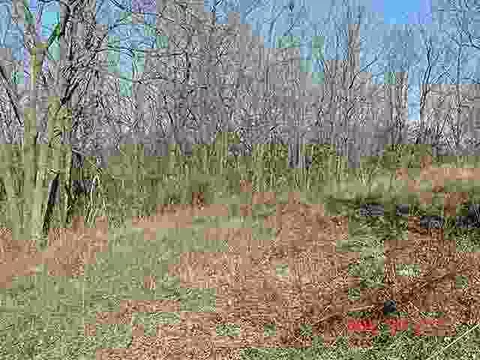 400 E Grove St, Table Grove, IL 61482 photo 25