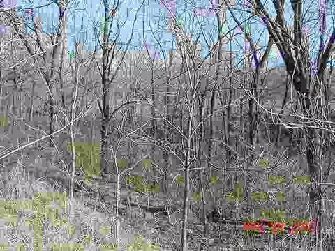 400 E Grove St, Table Grove, IL 61482 photo 24