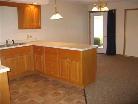 230 Scotch Pine Dr, Macomb, IL 61455 photo 4