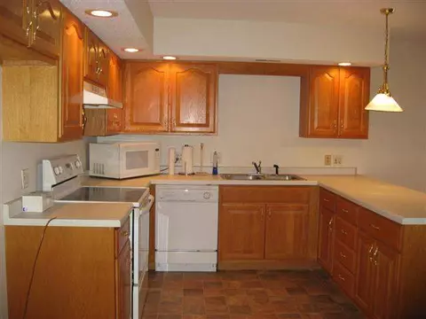 230 Scotch Pine Dr, Macomb, IL 61455 photo 5