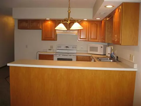 230 Scotch Pine Dr, Macomb, IL 61455 photo 6