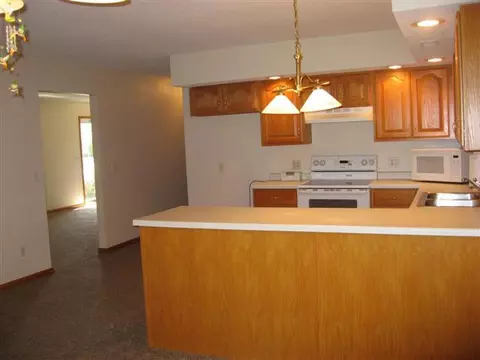 230 Scotch Pine Dr, Macomb, IL 61455 photo 7