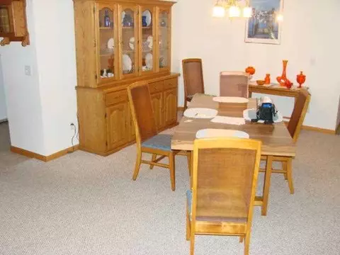320 Pinecrest Dr, Macomb, IL 61455 photo 3