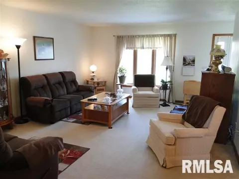 227 Scotch Pine Dr, Macomb, IL 61455 photo 9