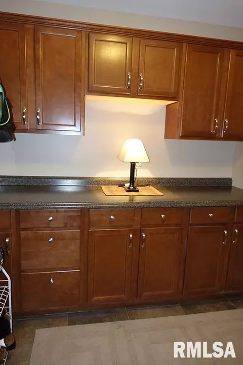 207 S Castle Dr, Dunlap, IL 61525 photo 14